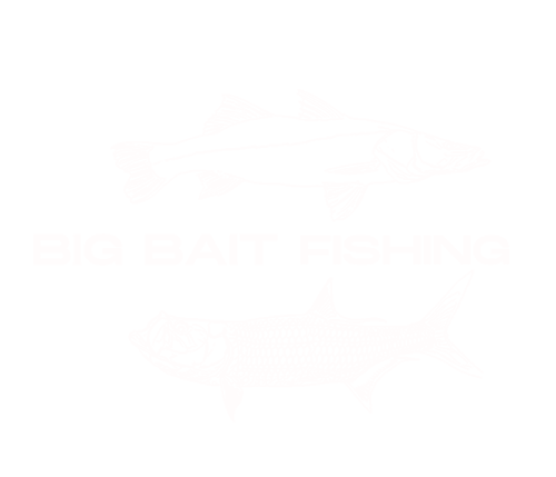 BIG BAIT FISHING